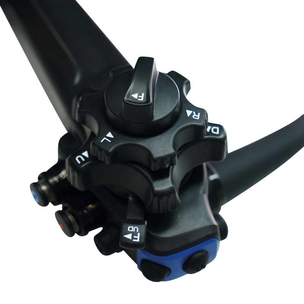 306266_306268_306270_Detail2