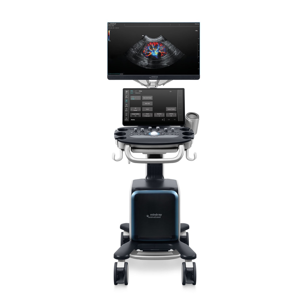 Aktionspaket Vetus 80 mit 3 Sonden, Mikro-konvex, Linear T-förmig und Phased array