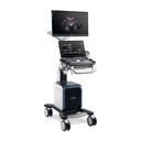 Aktionspaket Vetus 80 mit 3 Sonden, Mikro-konvex, Linear T-förmig und Phased array