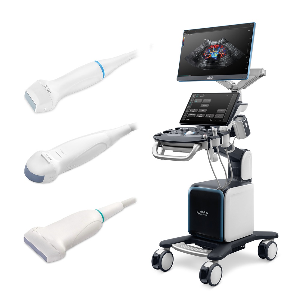 Aktionspaket Vetus 80 mit 3 Sonden, Mikro-konvex, Linear T-förmig und Phased array