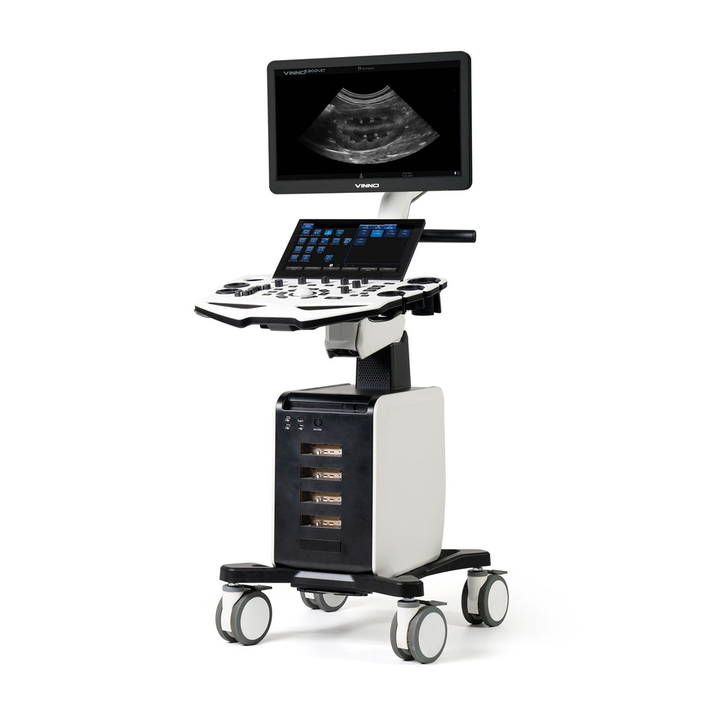 VINNO S300 with 2 Probes