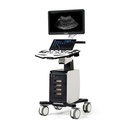 VINNO S300 with 2 Probes