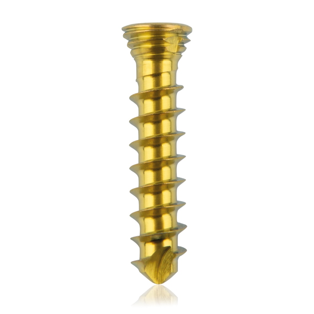 [185530] Titan-Verriegelungsschraube Ø2.3x 12 mm,multidirektional, gold, Torx 6, selbstschneidend, selbstbohrend