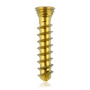 Titan-Verriegelungsschraube Ø2.3x 12 mm,multidirektional, gold, Torx 6, selbstschneidend, selbstbohrend