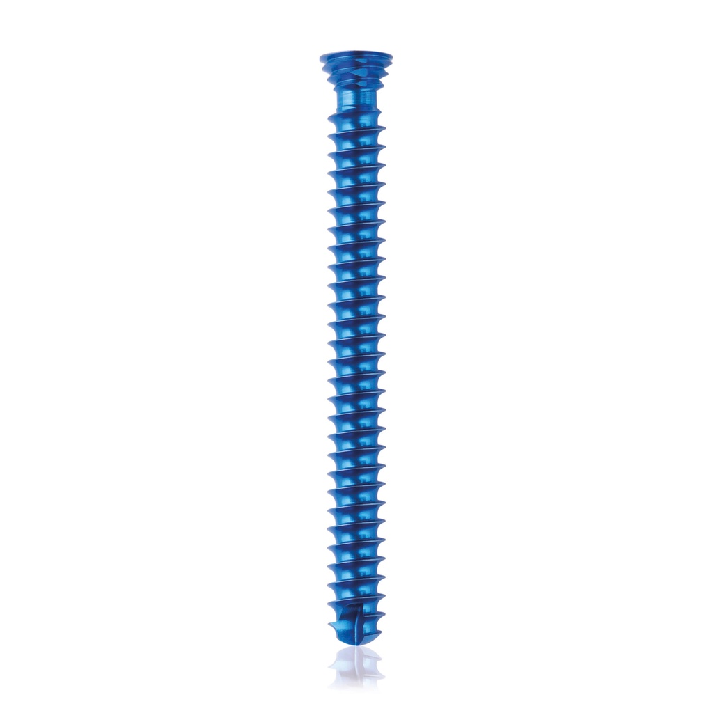 [185466] Titan-Verriegelungsschraube Ø4x 38 mm, multidirektional, blau Torx 10 