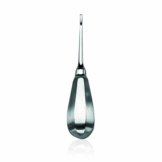 [175403] Wurzelheber Lindo-Levien, 13,5 cm, 3 mm, gezahnt 