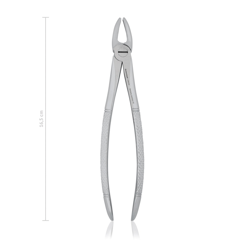 [176017] Zahnzange Fig. 1, 16,5 cm  