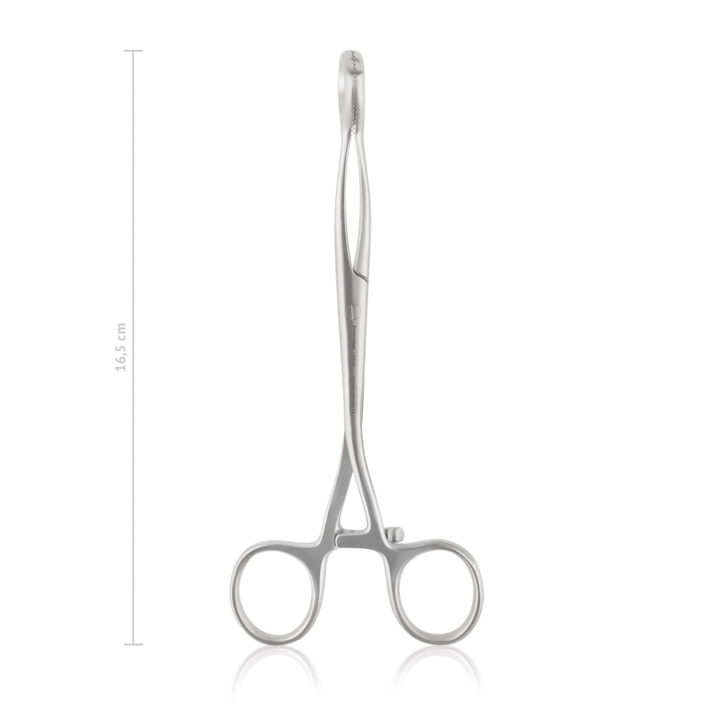 [146216] Zungenzange Collin, 16,5 cm  