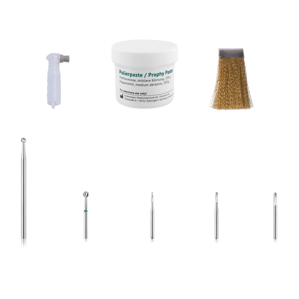 STARTER KIT EXPORT DENTAL