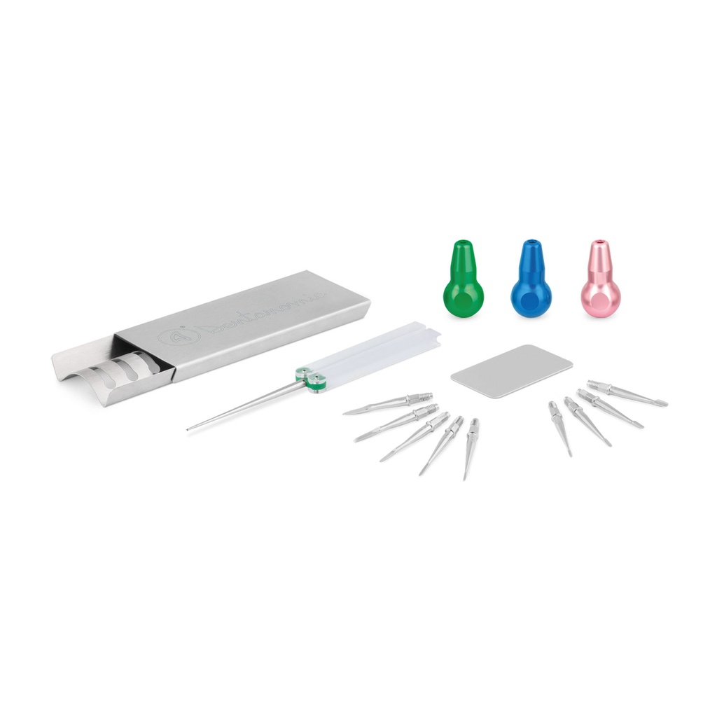 [175060] DENTANOMIC Set – Silber, bestehend aus 3 Standard Handgriffen (grün, blau und rosa) + Elevator- und Luxator-Klingen Set (9 Stück) + Aufbewahrungsrack + Schleifset