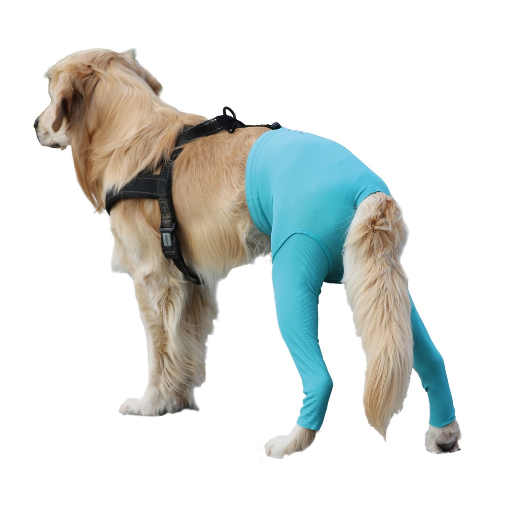 [VMC13011] VetMedCare® Sicherheitshose Größe XS/S