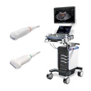 Aktionspaket: Vetus 7 Expert - im Aktionspaket enthaltene Sonden: Mikro-konvex: 2,6-12,8 MHz (C11-3s / Art. Nr. 305056), Linear T-förmig: 4,4-13,5 MHz (L12-4s / Art. Nr. 305057)