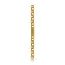 EickLoxx S-Typ Knochenplatte 18-Loch, 210 x 12 x 4,5 mm, Titan gold